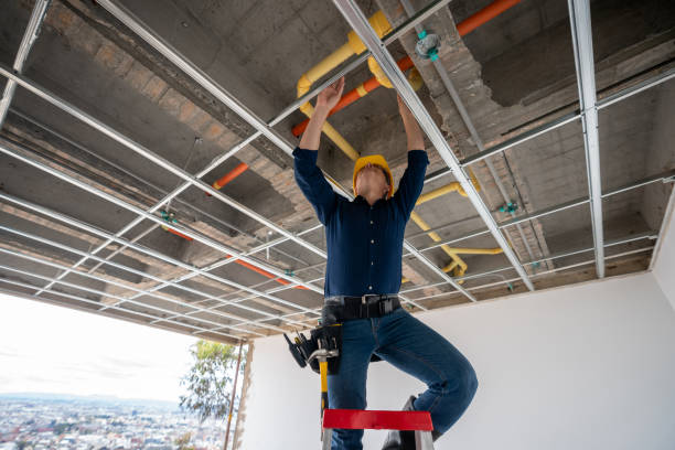Best Plumbing Inspection Services  in Delisle, MS