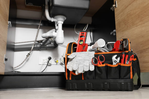 Best Same-Day Plumbing Service  in Delisle, MS